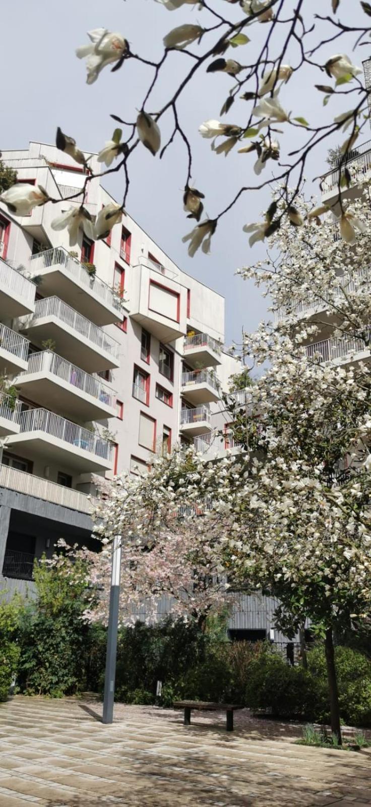 Eiffel Seightseing Apartment Paris Exterior photo